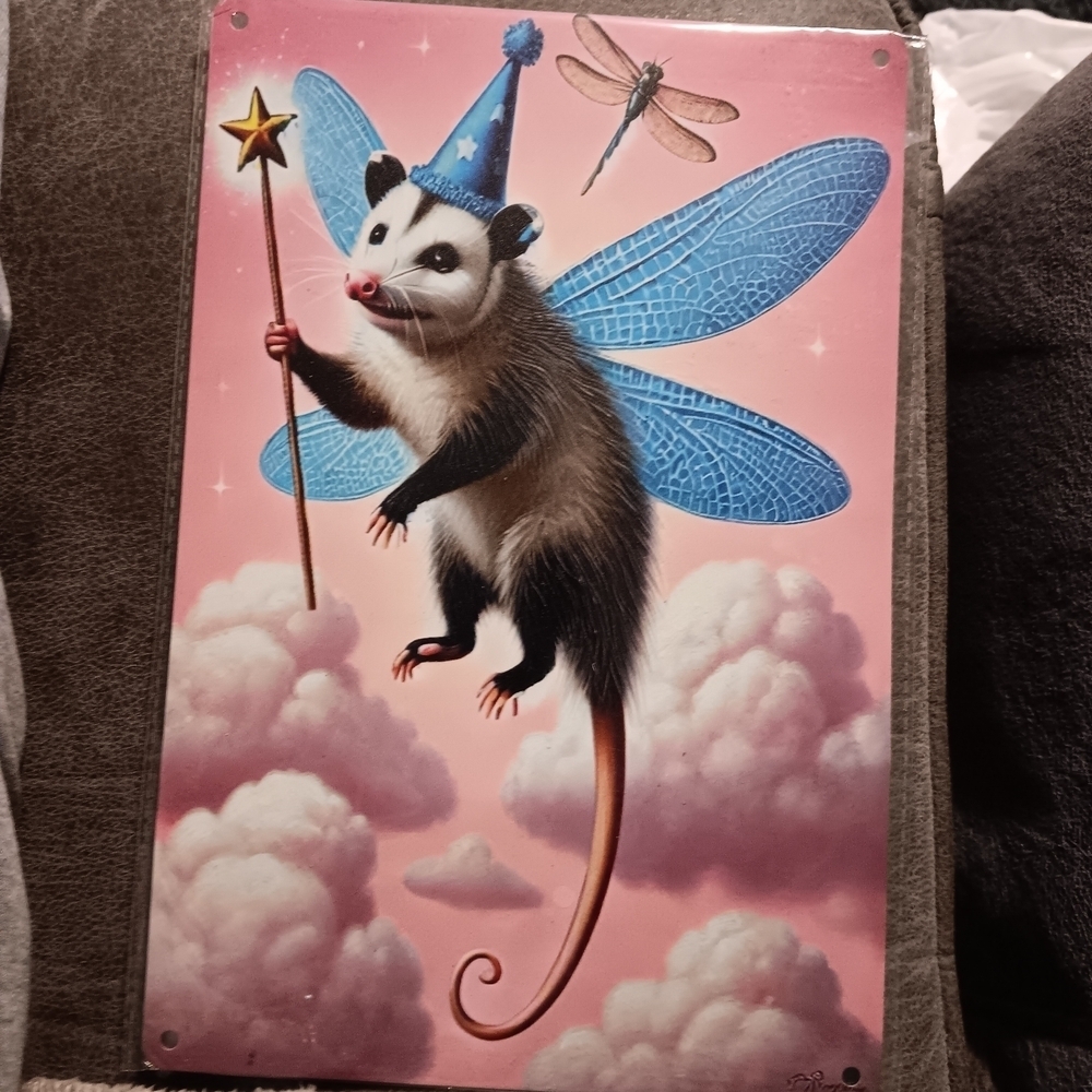 Whimsical Opossum Metal Wall Art 8x12
